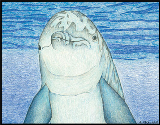 RecentPainting_dolphine 1