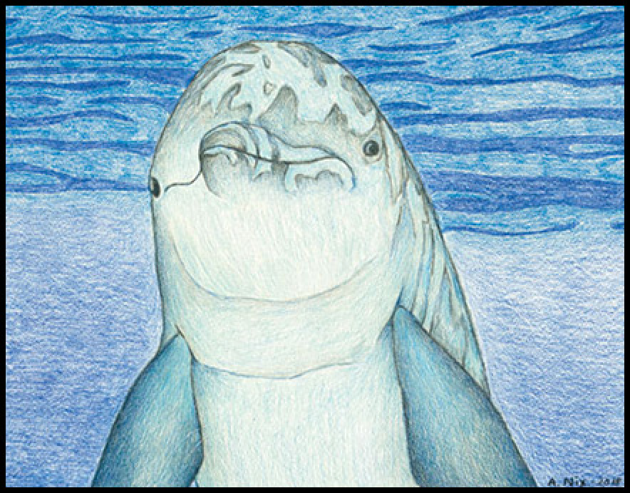 RecentPainting_dolphine 1